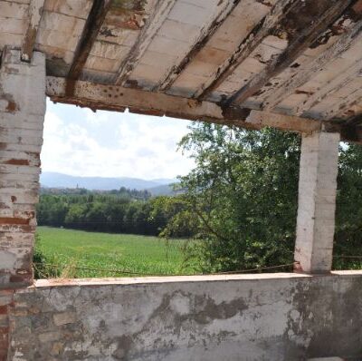 NF immobiliare vendita podere Località Sala Poppi
