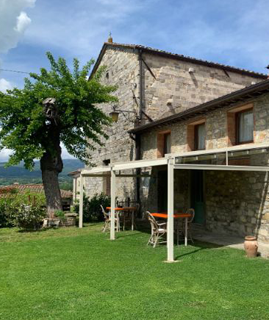 casali NF Immobiliare