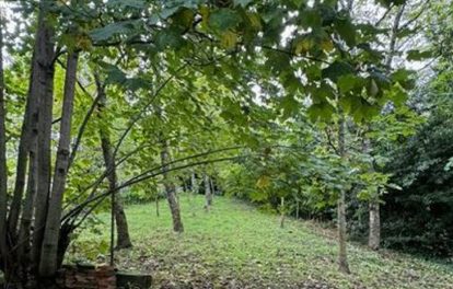 NF immobiliare casa vendita Renaccio Papiano Pratovecchio Stia